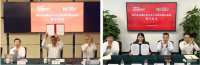 中國寶武，究竟儲備了多少鐵礦？